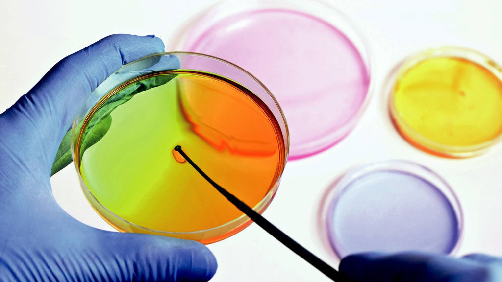 015652 - Microbiologia Geral - 2024/2:Bacharelado em Agronomia, Bacharelado, 2º Período, Turno Integral (2024)