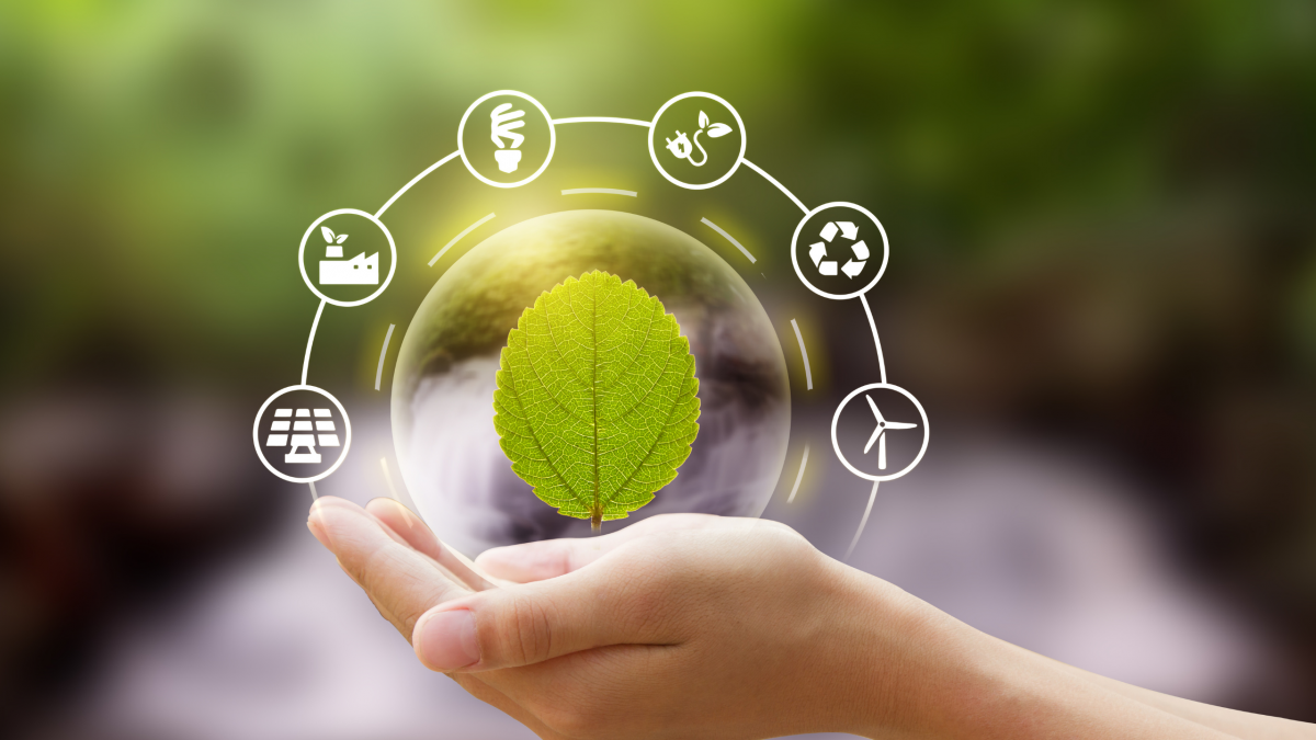 016828 - Extensão I: A Química na Gestão de Resíduos - 2024/2:Licenciatura em Química, Licenciatura, 2º Período, Turno Matutino (2024)