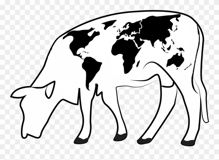 015558 - Ecologia Geral - 2024/2:Bacharelado em Zootecnia, Bacharelado, 2º Período, Turno Integral (2024)