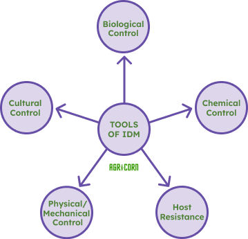 016517 - Manejo Integrado de Doenças - 2024/2:Programa de Pós Graduação em Bioenergia e Grãos (mestrado Profissional), Mestrado, 1º Período, Turno Diurno (2024)