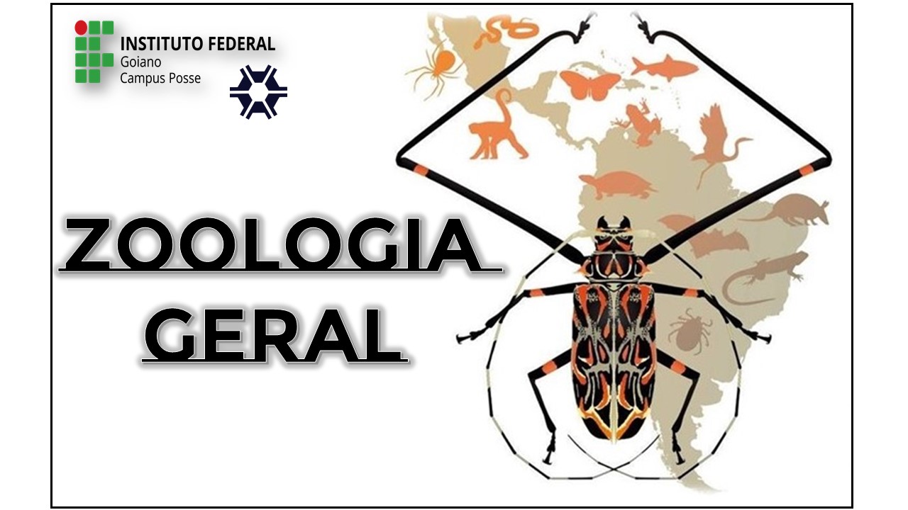 Zoologia Geral - 2024/2; 2º Período; 2024