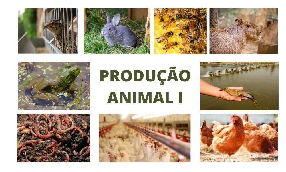 Técnico em Agropecuária Integrado ao Ensino Médio - Matutino - Urutaí - 20211.01AGP10M.1A - 2021/1 ( 1º período ) - 162671 - Produção Animal I