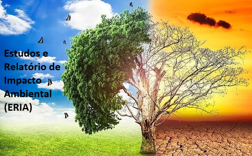 012020 - Estudo e Relatório de Impacto Ambiental - 2024/1:Técnico em Meio Ambiente Integrado ao Ensino Médio, Integrado, 3º Período, Turno Integral (2024)