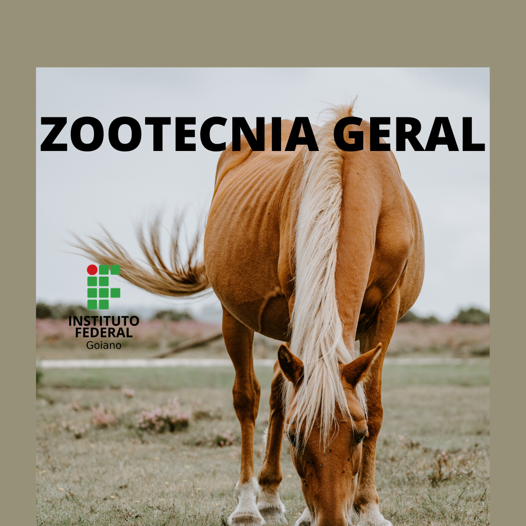 Técnico em Agropecuária Vespertino - Urutaí - 20211.01AGP11V.1V - 2021/1 ( 1º período ) - 162803 - Zootecnia Geral - Técnico Integrado em Agropecuária Matutino - Urutaí